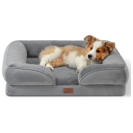 Bedsure Orthopedic Dog Bed for Medium Dogs