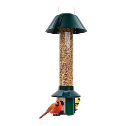 Roamwild PestOff Squirrel Proof Wild Bird Feeder Mixed Seed Sunflower